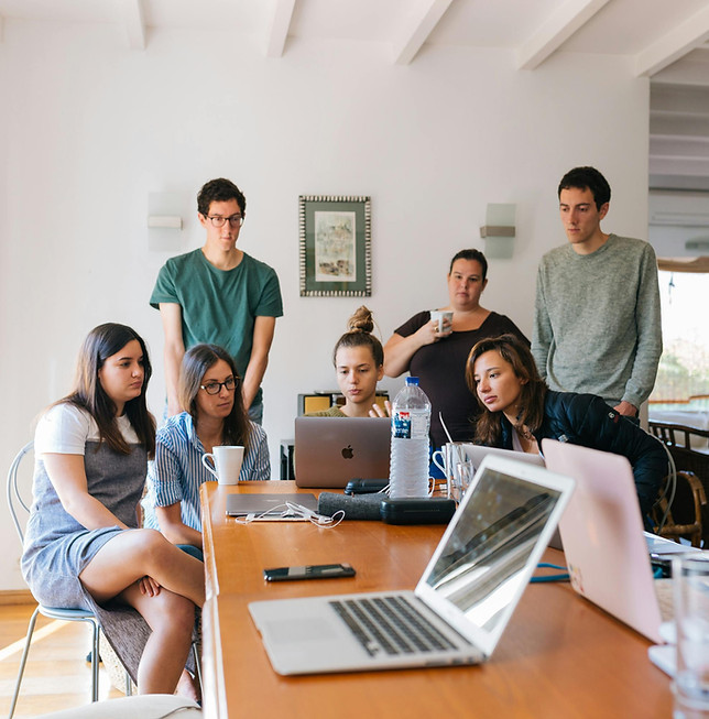 pexels-hillaryfox-1595385 (1).jpg