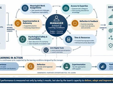 The Manager as an Architect of learning conditions