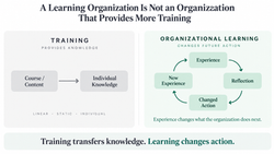 training is not learning