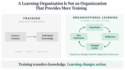 training is not learning