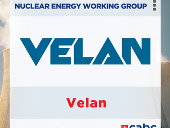 Velan is a leading global manufacturer of industrial steel valves, recognized as a standard-bearer in quality and innovation since 1950.