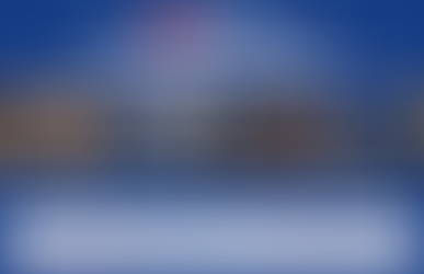 Nuclear Energy Working Group Newsletter