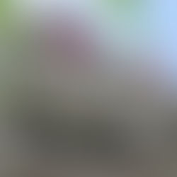 Journalist Layoffs: An Uncertain Future