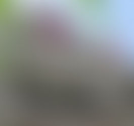 Journalist Layoffs: An Uncertain Future