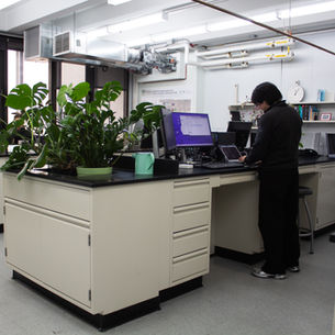 CCNY Research Is Studying the Science Behind Beauty