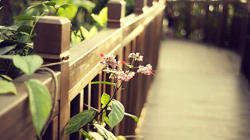 preview_flower-the-last-fence.jpg