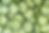 4 by 6 Fruit and Veg (2).png