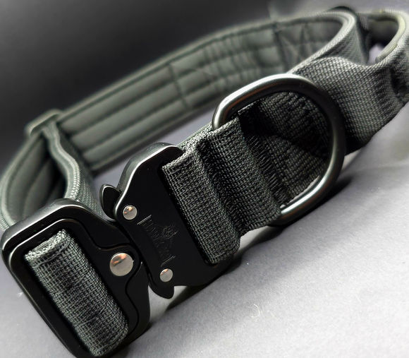 Military-grade dog collar with quick-release buckle—secure fit for working dogs and active pets.
