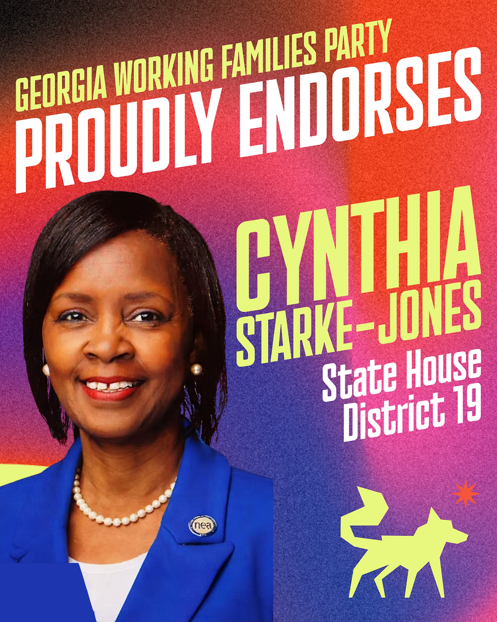 Grid of Georgia endorsements for 2026