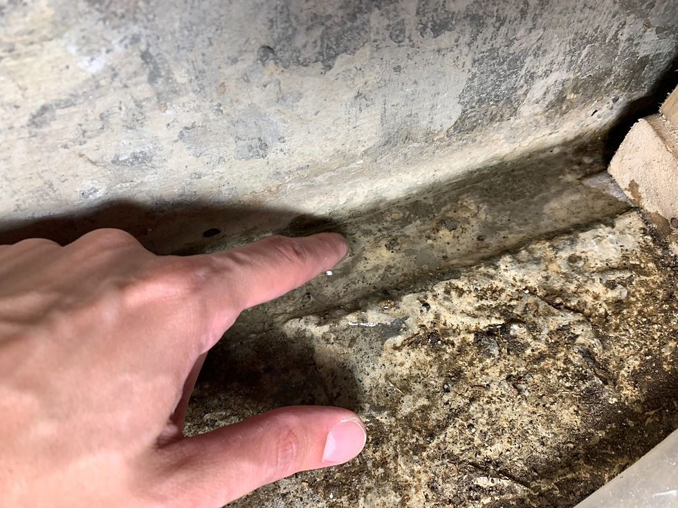 WhatsApp Image 2025-08-11 at 19.44.59.jpeg