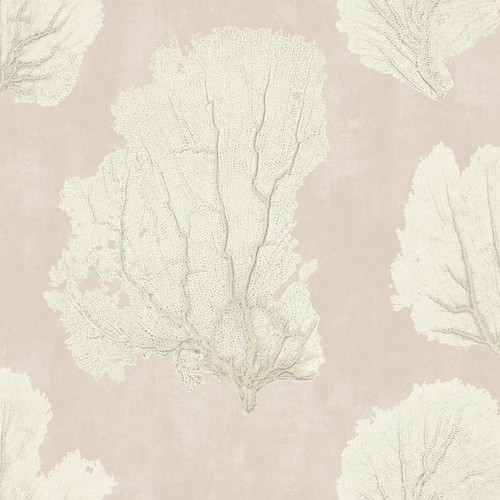 Coral Couture Wallpaper Wallpaper Galore