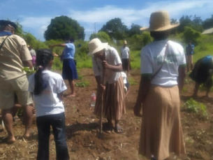 Planter la vie, ensemble