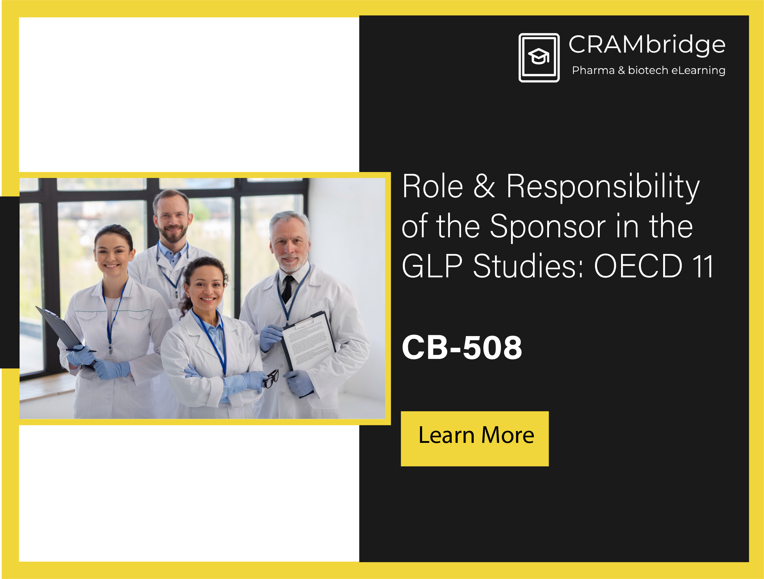 The Role and Responsibility of the Sponsor in GLP Studies: OECD 11