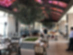 Disney Toledo Restaurant