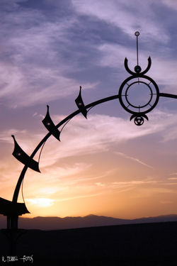 Joshua Tree Music Festival