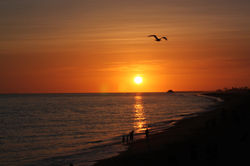 Sunset in Newport Beach
