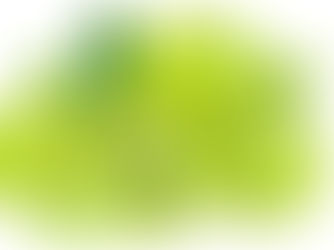 Amla Tablet Benefits: Natural Vitamin C for Immunity and Overall Health