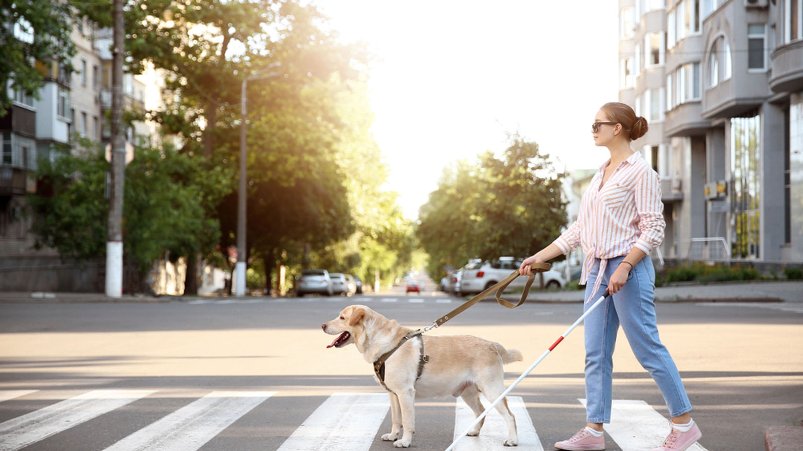 Ragazza affetta da ipovisione che attraversa la strada col supporto di un cane guida