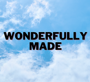 Wonderfully Made