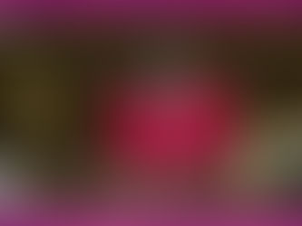 Retratos a Gamarra y Feijóo en EL Congreso y en el Senado