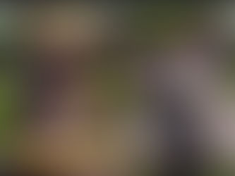 #Outlander and fake big butts.