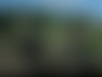 #Outlander Epi 209 Re-cap: Heroic Jamie, Wimpy Soldiers, PTSD Claire & Cotterrrrr pins!