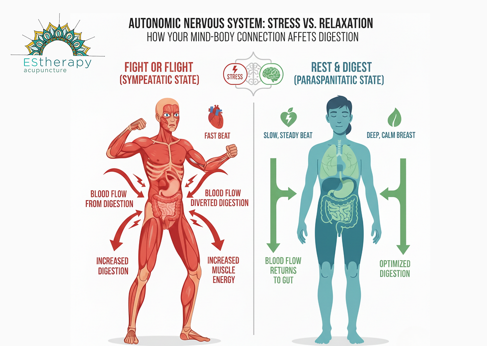 Diagram comparing stress vs. relaxation effects on digestion; red figure in stress, blue in relaxation. Notable text: "Fight or Flight," "Rest & Digest."