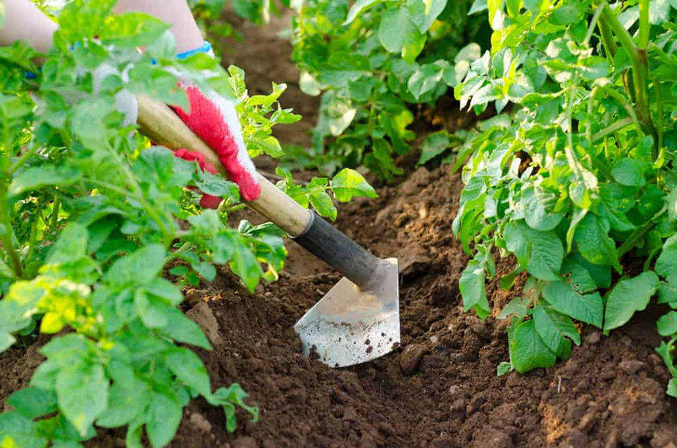 Garden Hoe Malaysia