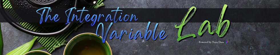 The Integration Variable Lab Title Banner