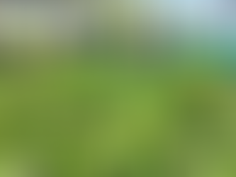 Producción de plátano a marzo de 2026