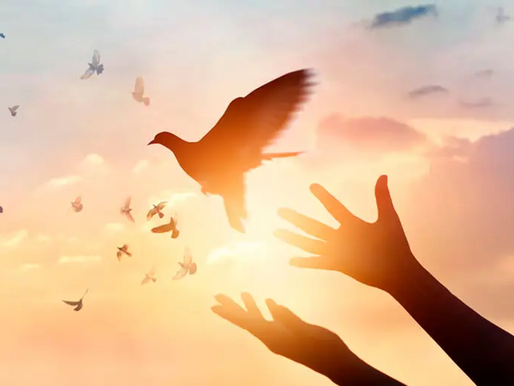 La paz: con ella todo