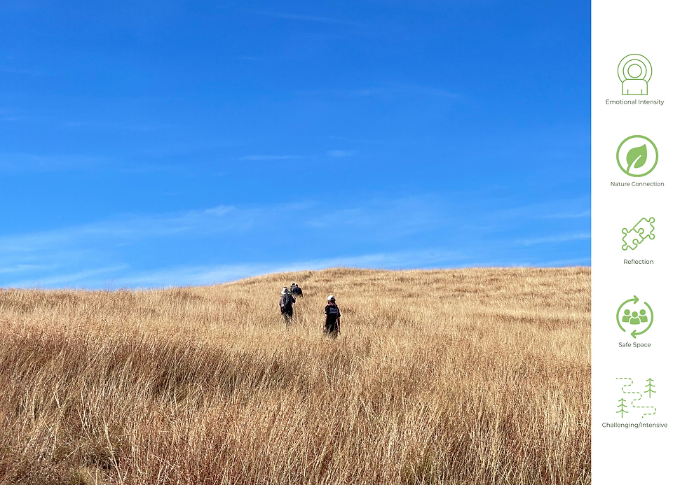The Unhurried Trek: A Journey to Clarity in Nature's Gentle Pace