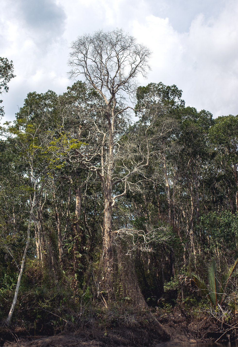 To break the circle, we need to give nature space to breathe again.