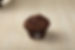 Chocolate Chip