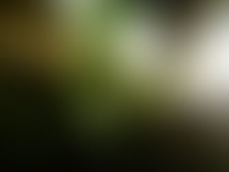 Making Space for the Wild in Southeast Asia