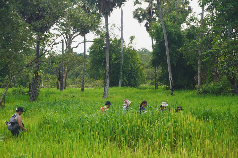 So to all parents: let’s give our children the gift of nature. Let’s allow them to climb trees, follow trails, and sit quietly by a river.