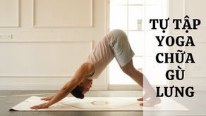 TỰ TẬP YOGA Ở NHÀ HẾT GÙ LƯNG - P2