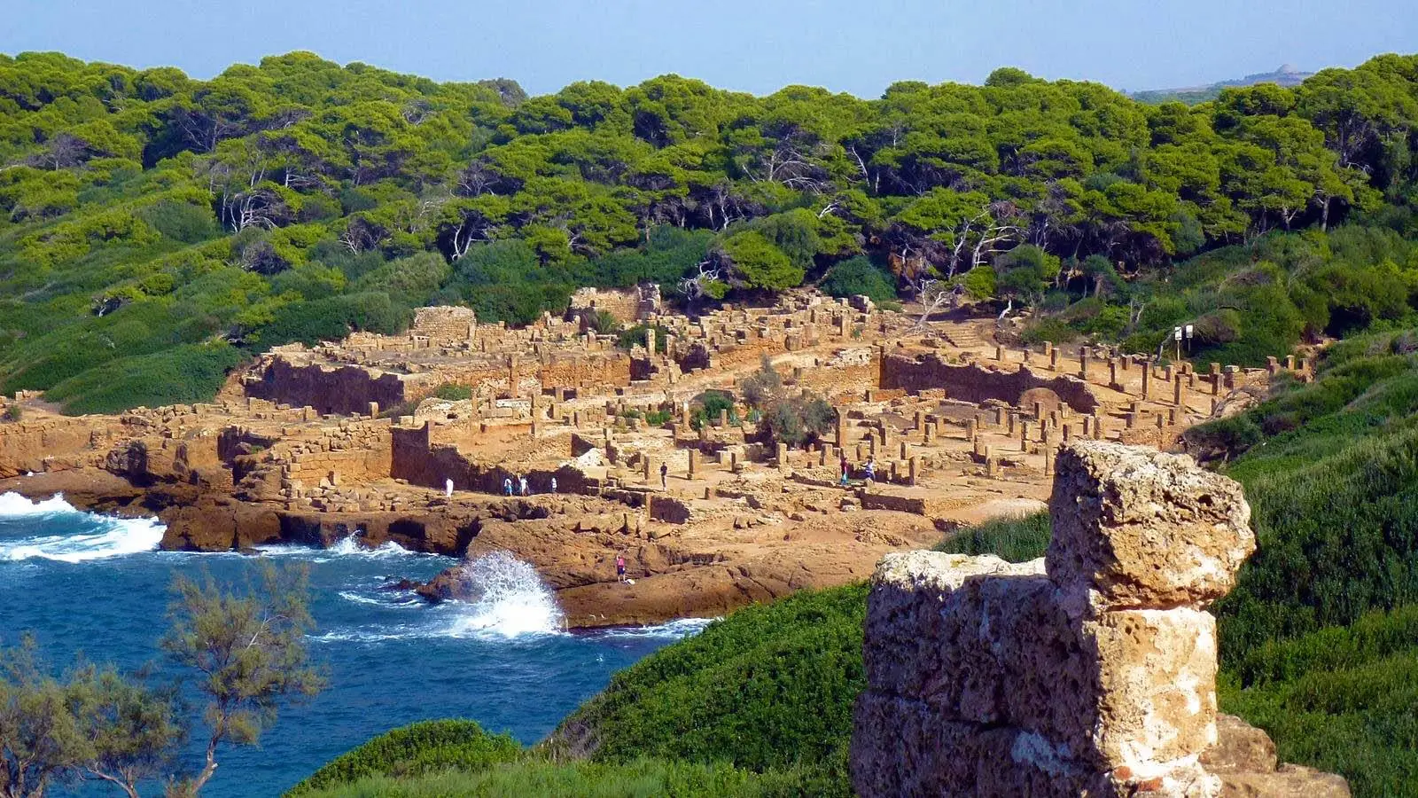 Tipaza | Oryx Voyage