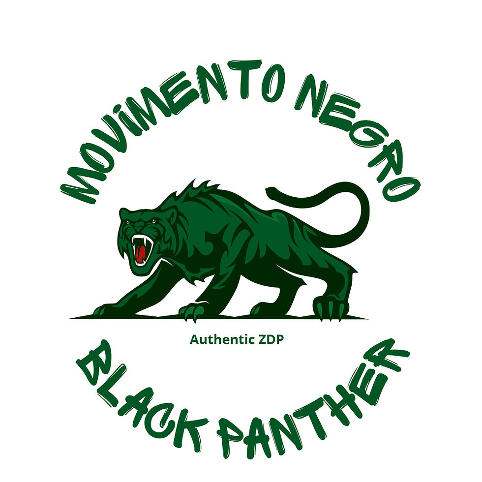 Miniatura: Zumbi dos Palmeiras ZDP movimento negro black panther estampa