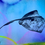 Thumbnail: stingray one