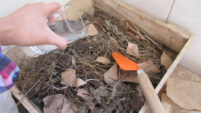 ¿Cómo reconocer si estás haciendo un buen compost?