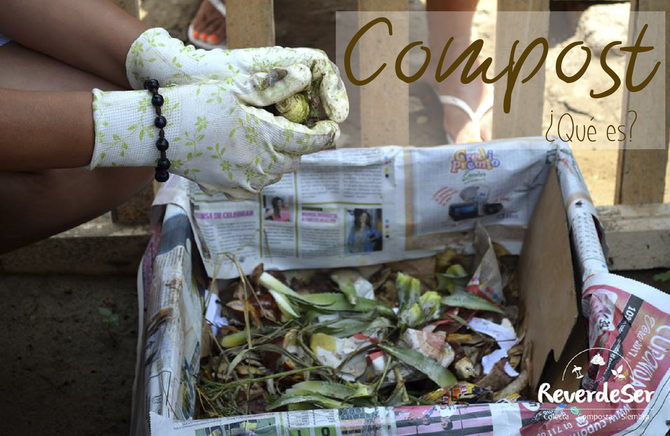 Compost, ¿qué es? ¿Cómo se hace?