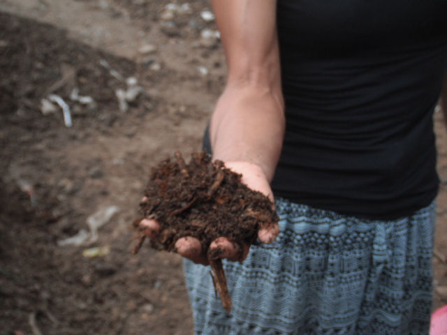 Compost casero: Aquà las precisas
