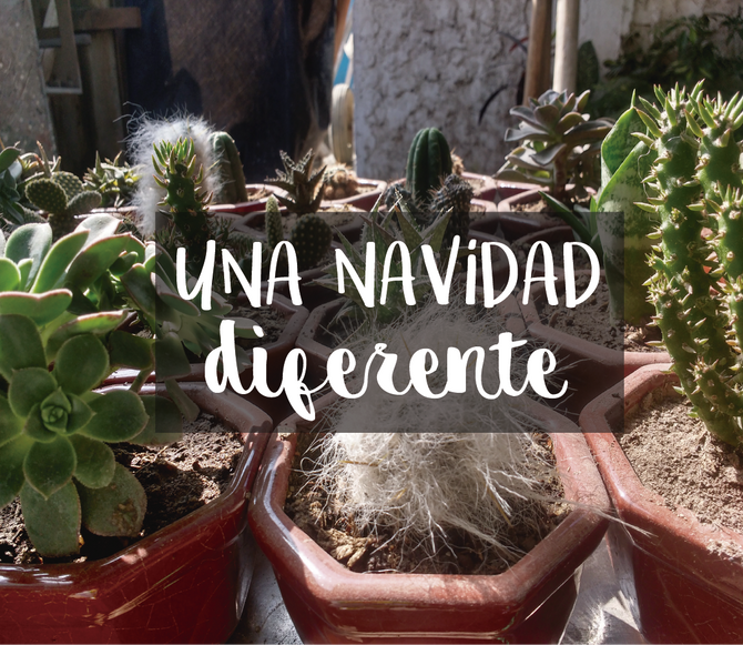 Una Navidad diferente