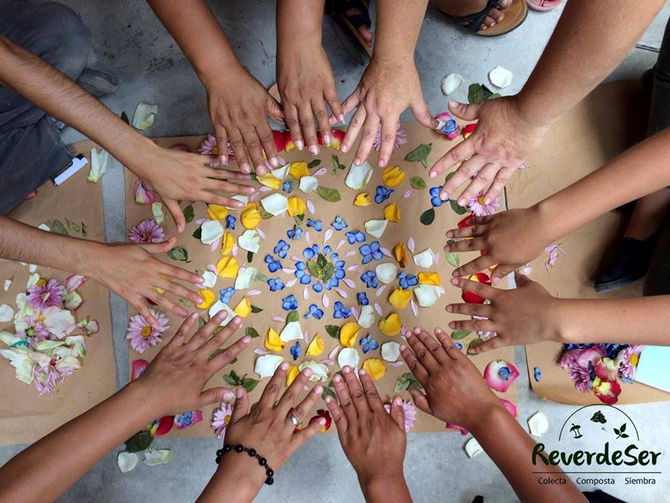 Proyecto: ReverdeSer Pachacútec