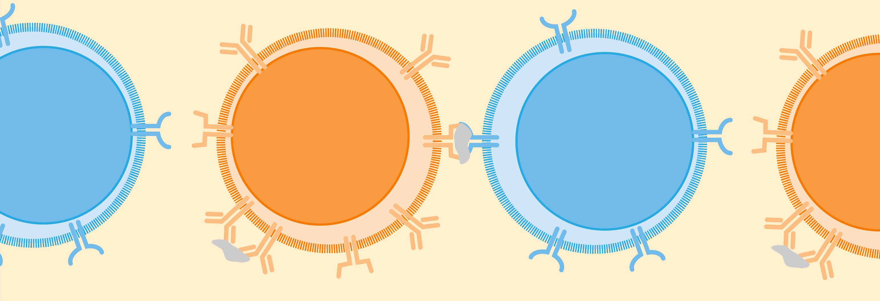 immune repertoire sequencing immune repertoire sequencing