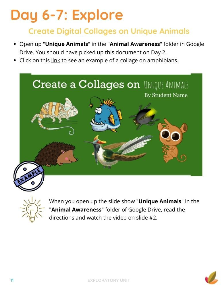Thumbnail: Animal Awareness from A-Z