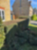 bdbd1246-5f61-417b-a2cd-243058e97c9d.jpeg