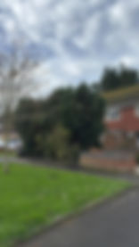 2395c25f-a8ab-4752-8e90-573abff03db7.jpeg