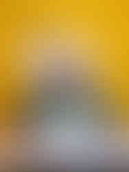 Shooting photo famille la rochelle